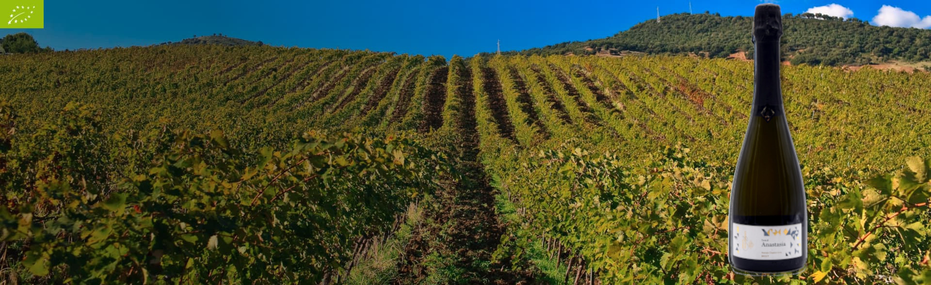 metodo classico in biologico